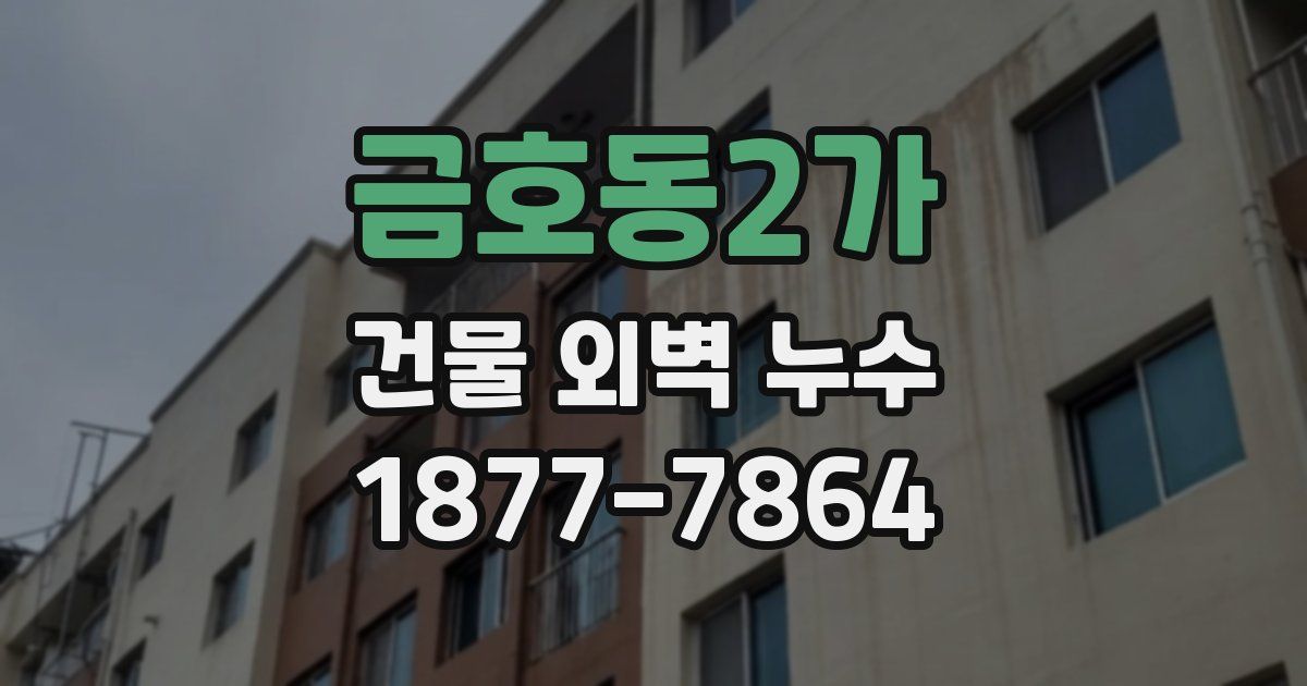 금호동2가 건물 외벽 누수