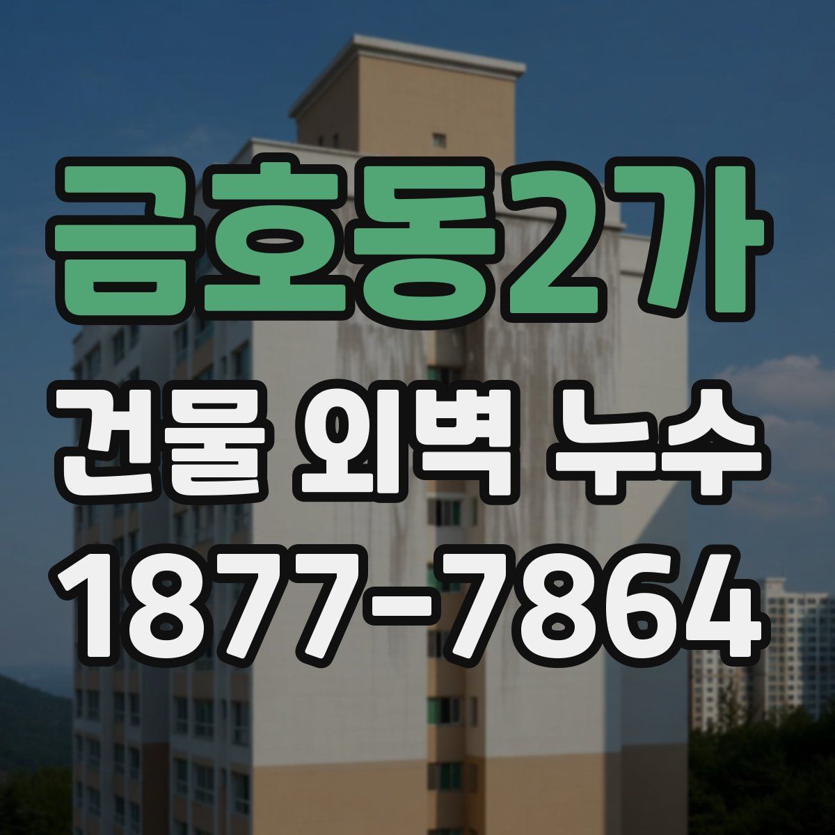 금호동2가 건물 외벽 누수