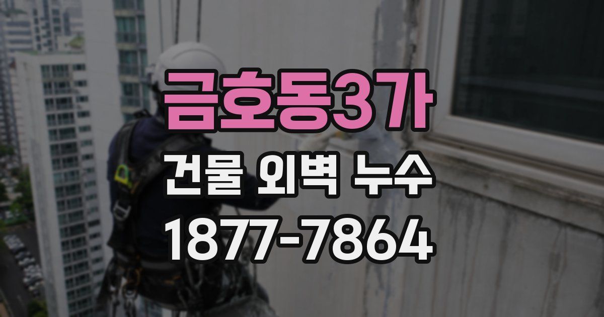 금호동3가 건물 외벽 누수