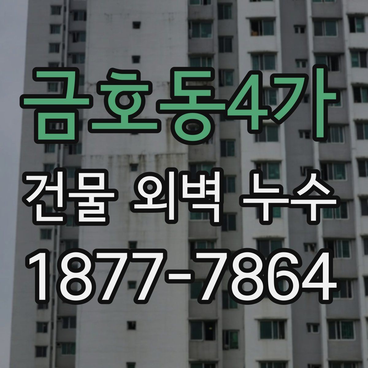 금호동4가 건물 외벽 누수 점검 시기와 관리 요령