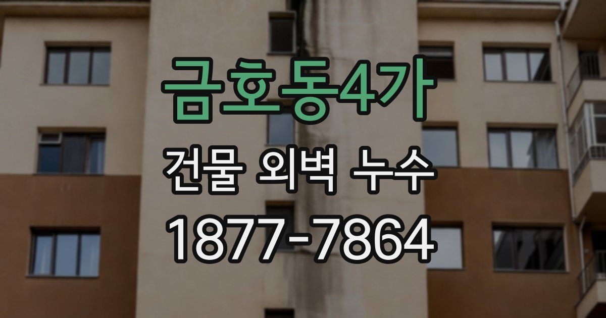금호동4가 건물 외벽 누수