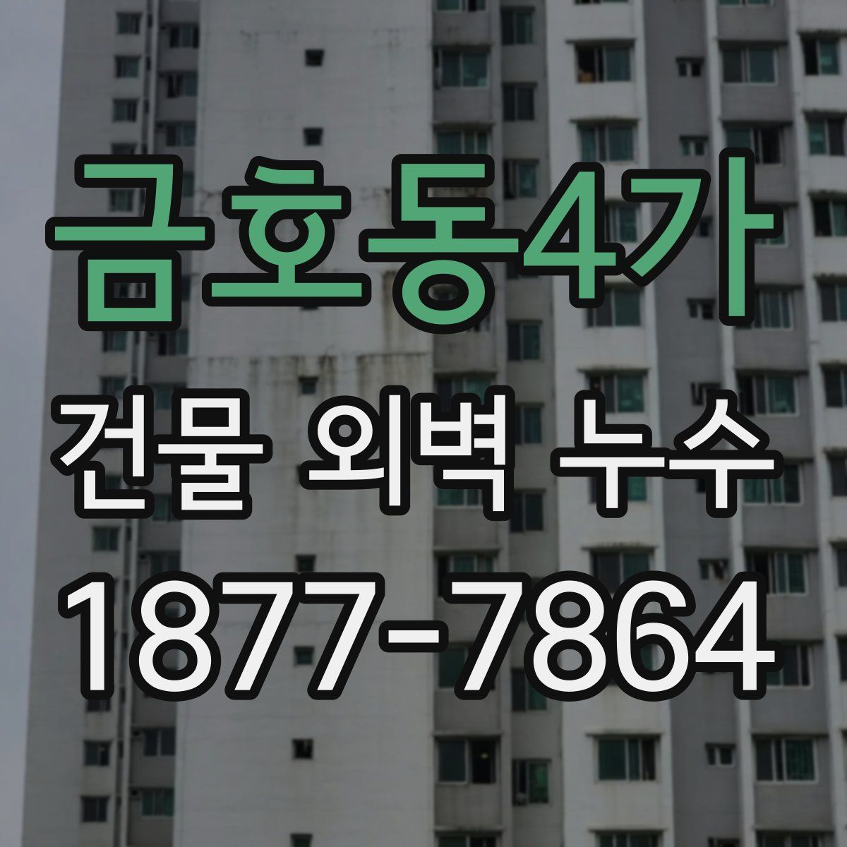 금호동4가 건물 외벽 누수