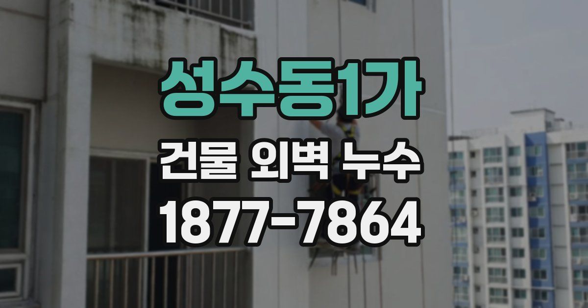 성수동1가 건물 외벽 누수