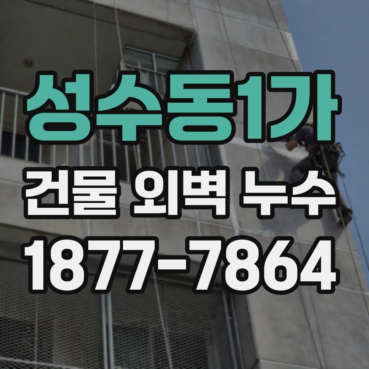 성수동1가 건물 외벽 누수