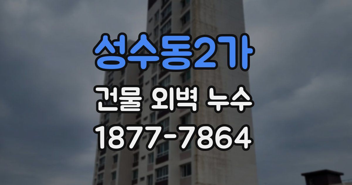 성수동2가 건물 외벽 누수