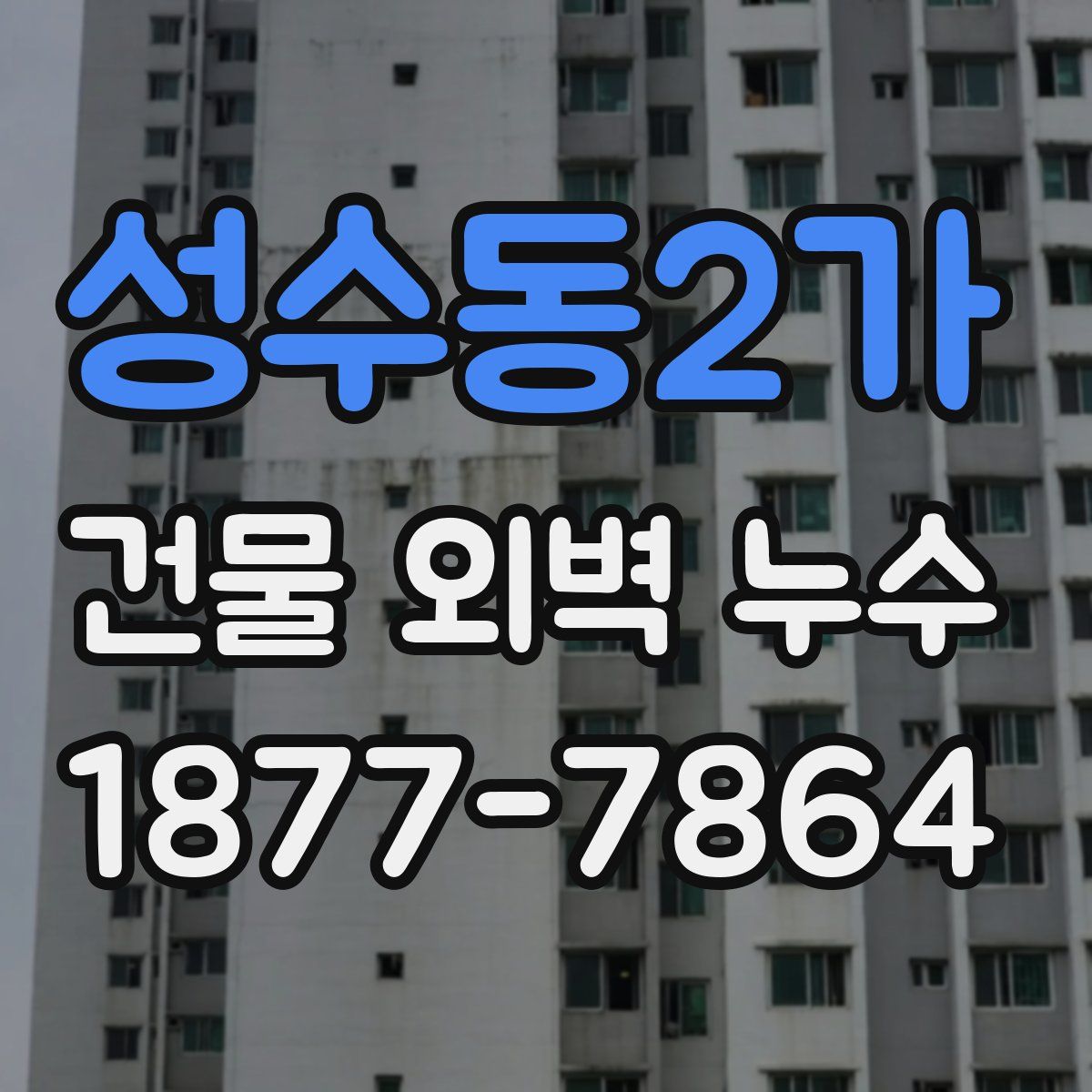 성수동2가 건물 외벽 누수