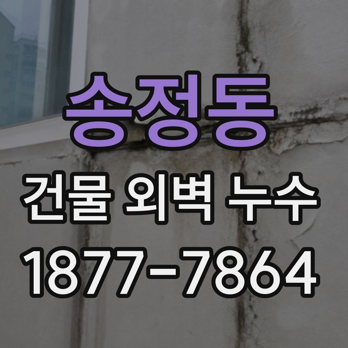 송정동 건물 외벽 누수