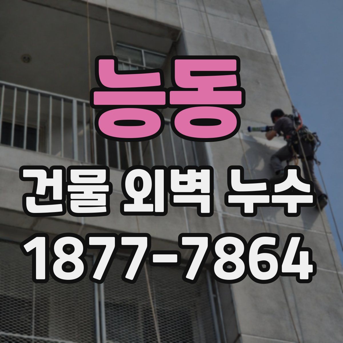 능동 건물 외벽 누수