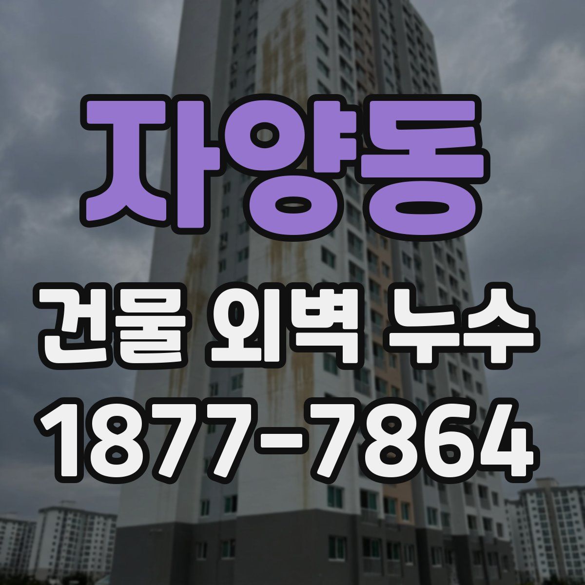 자양동 건물 외벽 누수