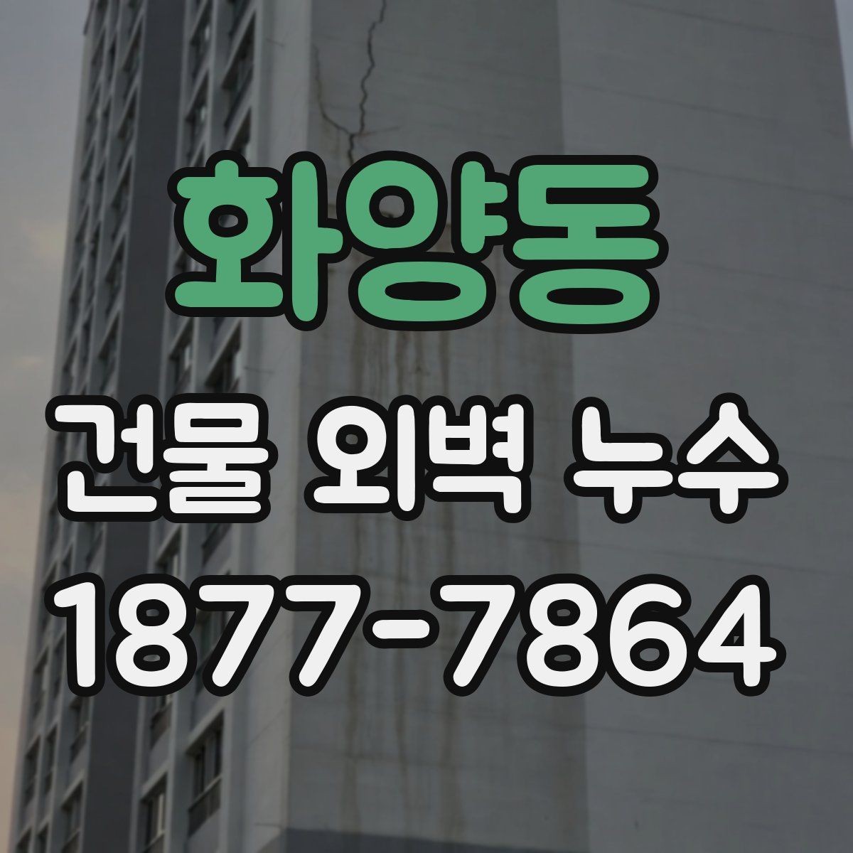 화양동 건물 외벽 누수 외부 마감재 상태 확인하기