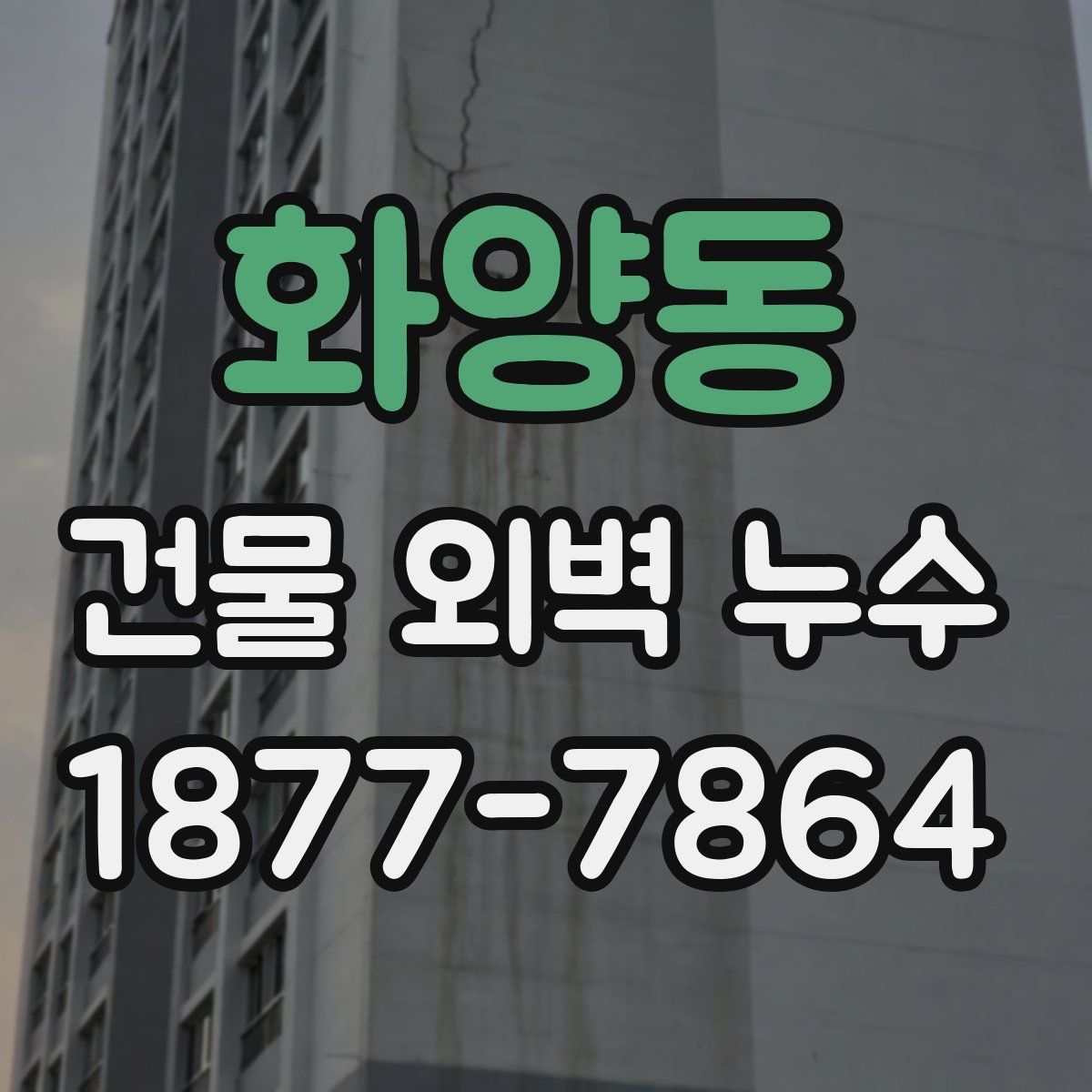 화양동 건물 외벽 누수
