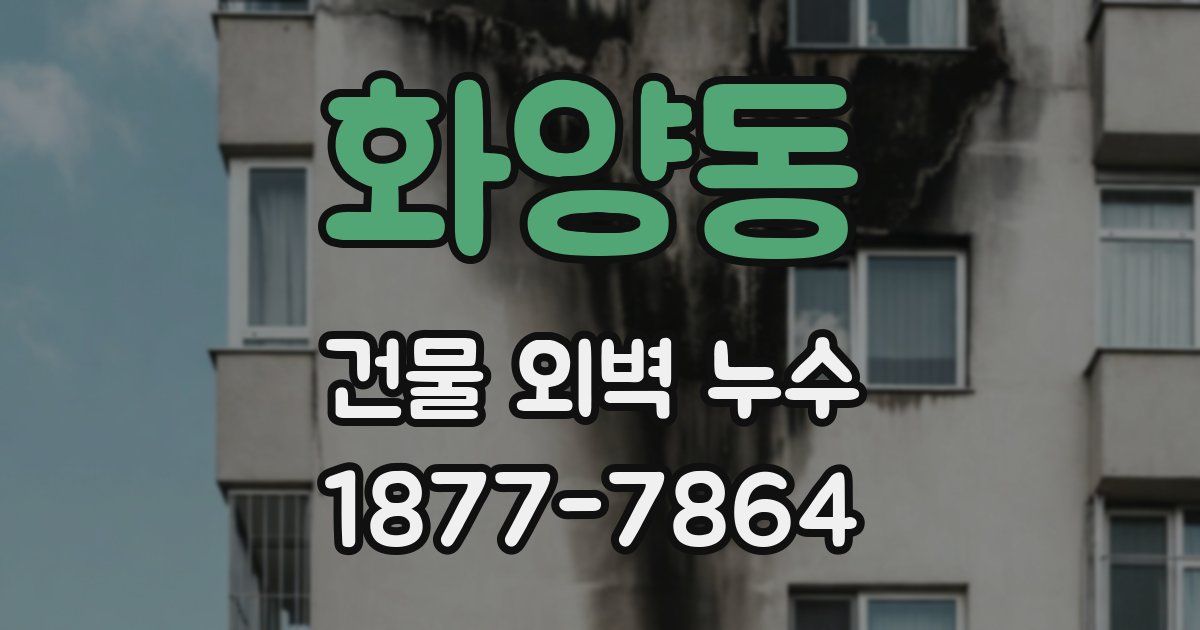화양동 건물 외벽 누수