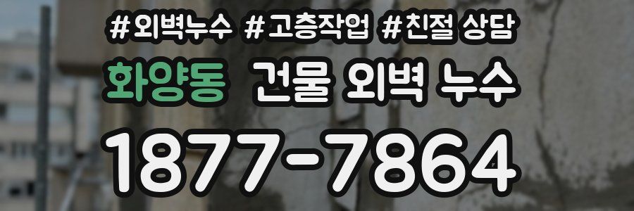 화양동 건물 외벽 누수