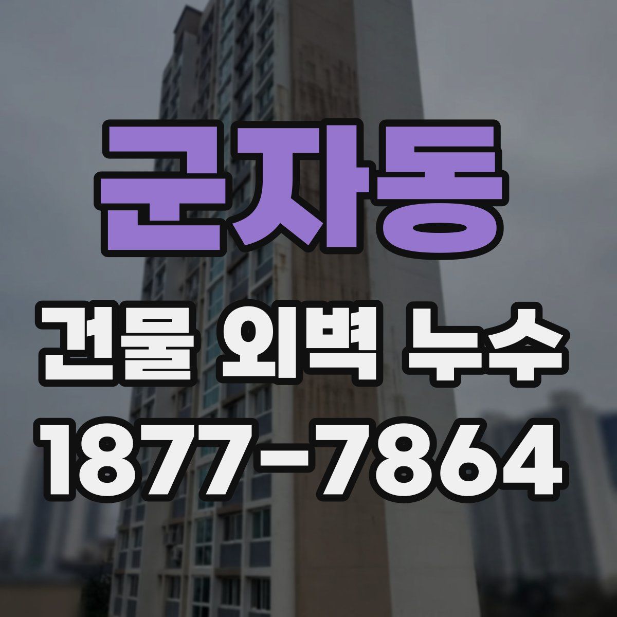 군자동 건물 외벽 누수