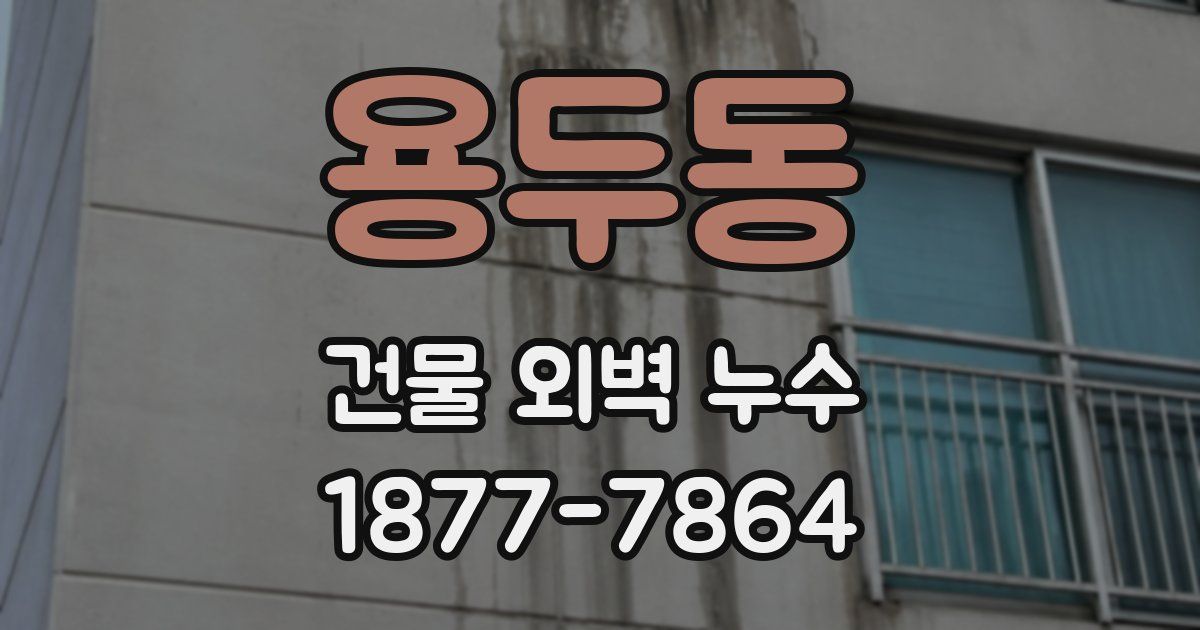 용두동 건물 외벽 누수
