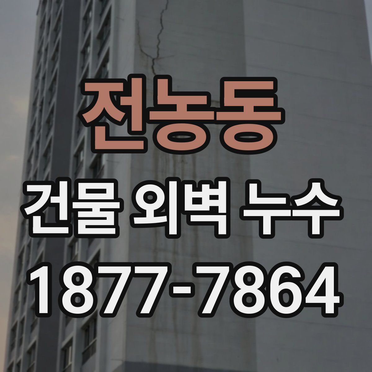 전농동 건물 외벽 누수