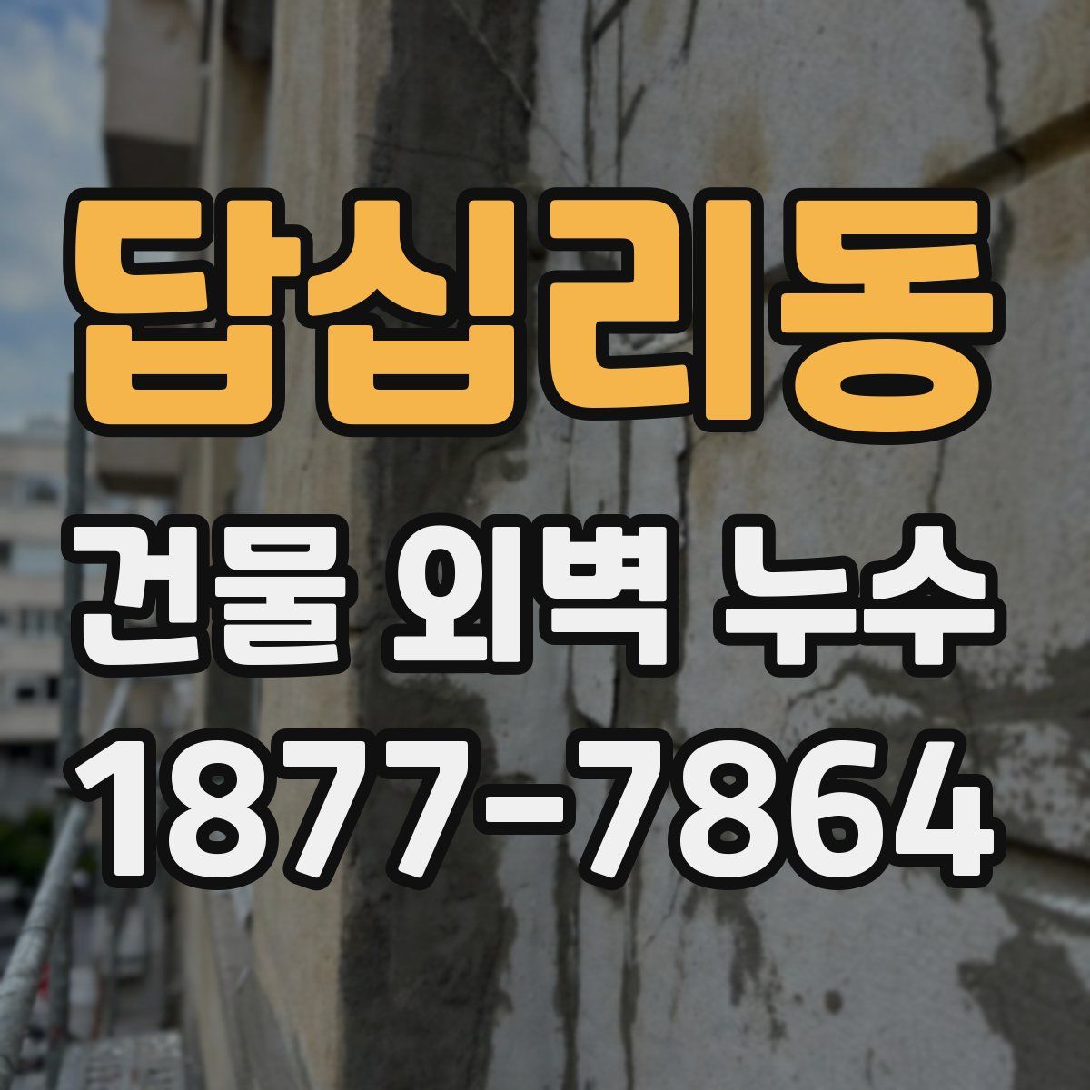 답십리동 건물 외벽 누수