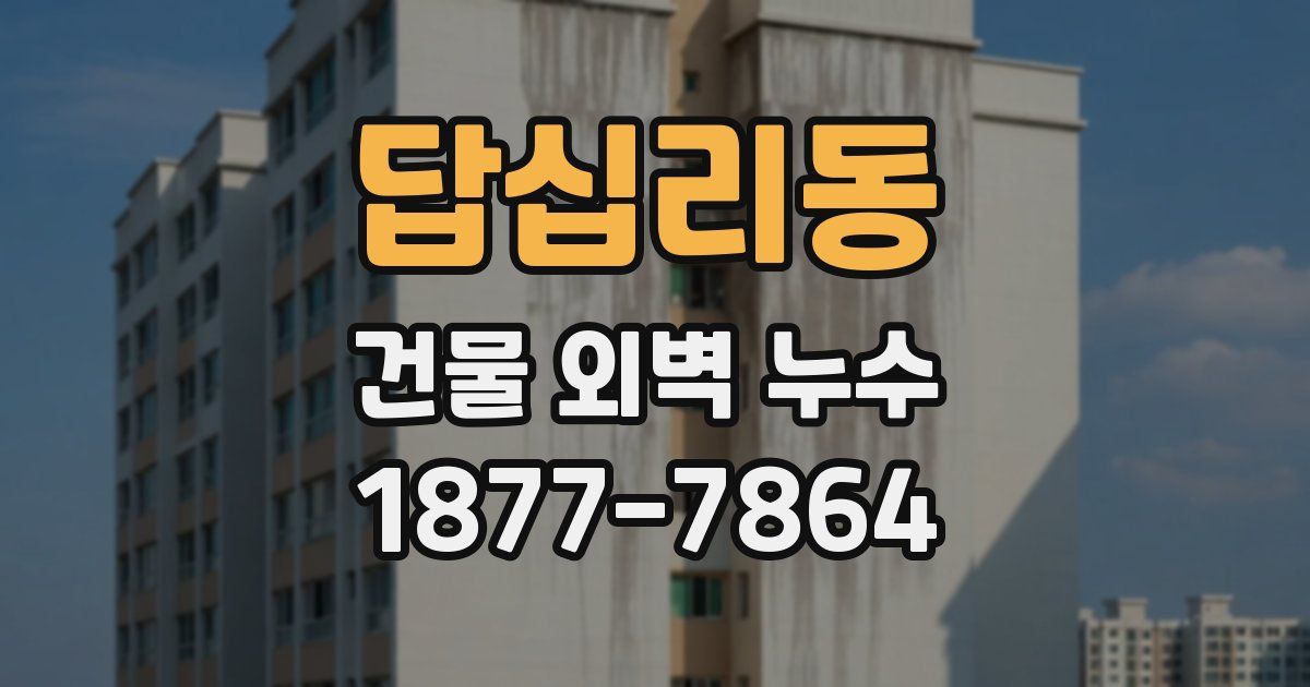 답십리동 건물 외벽 누수
