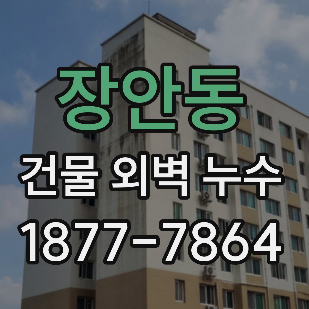 장안동 건물 외벽 누수