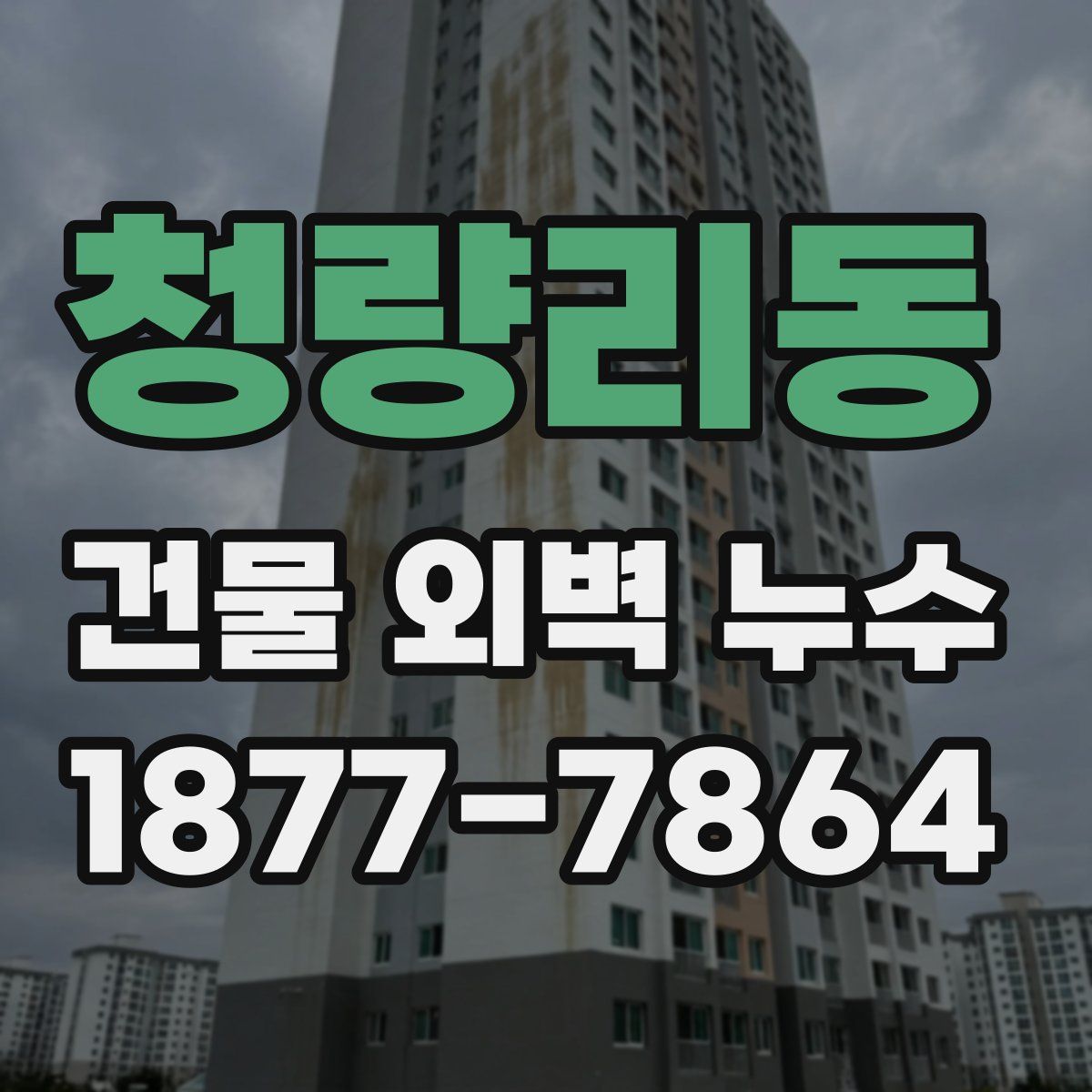 청량리동 건물 외벽 누수