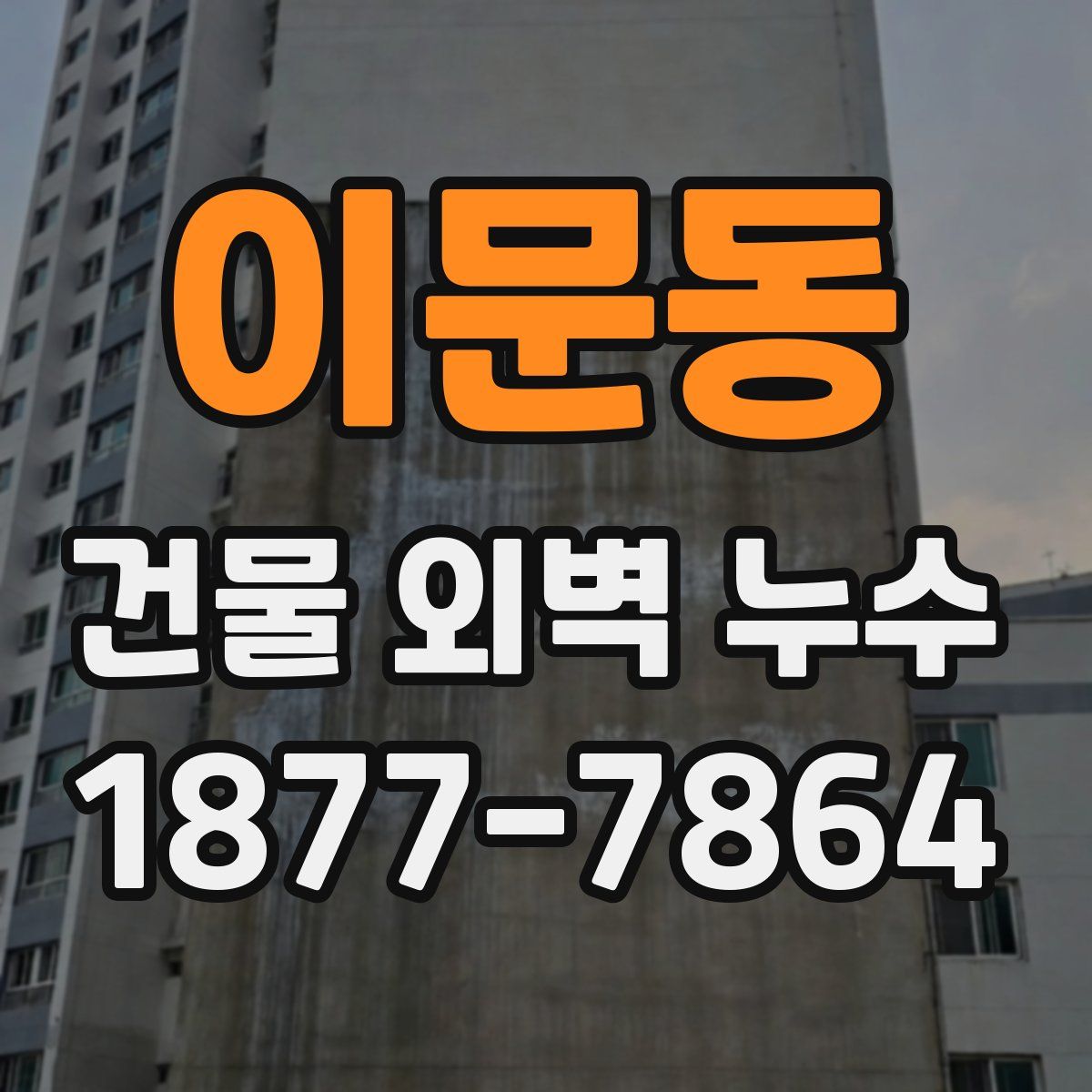 이문동 건물 외벽 누수