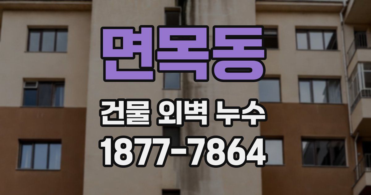 면목동 건물 외벽 누수
