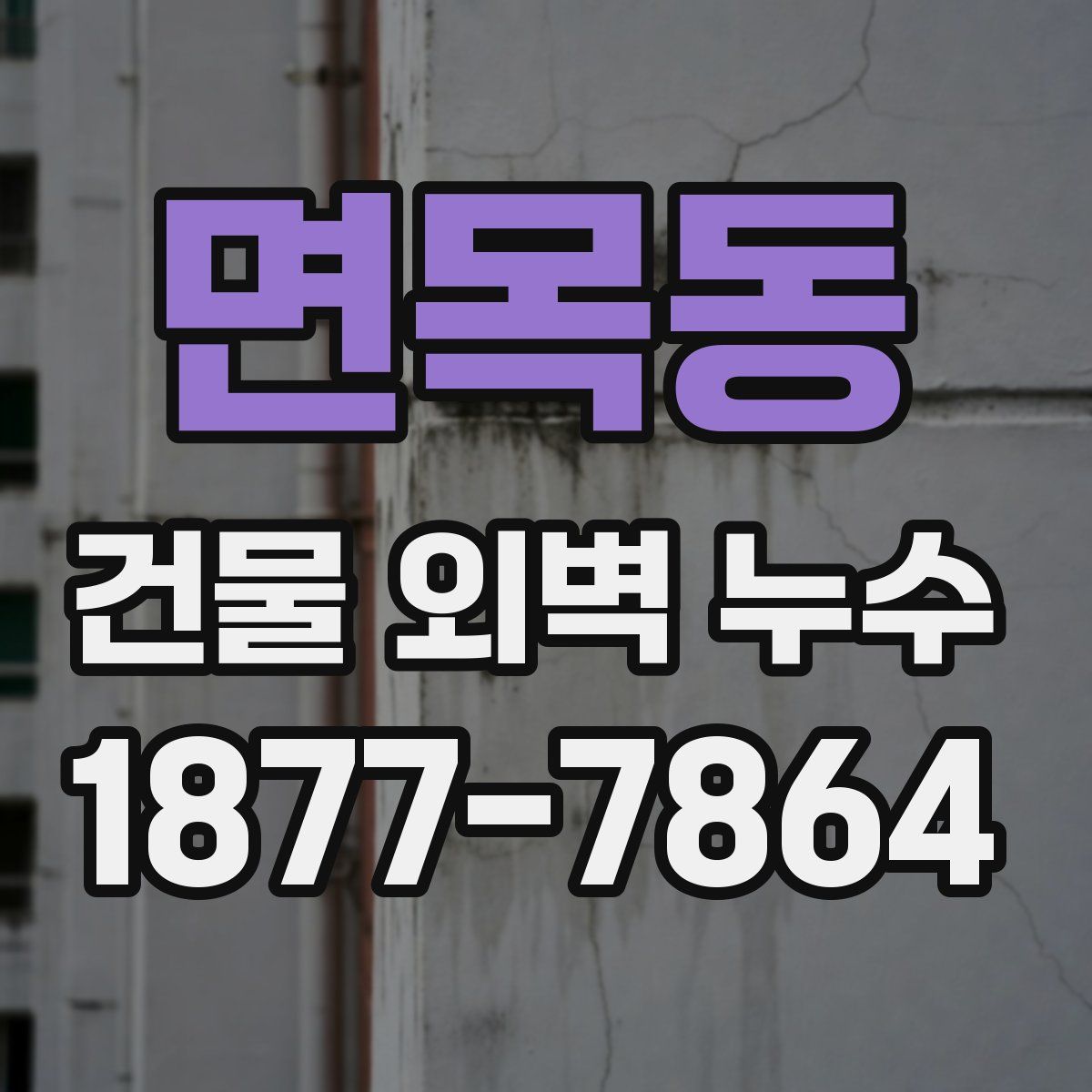 면목동 건물 외벽 누수