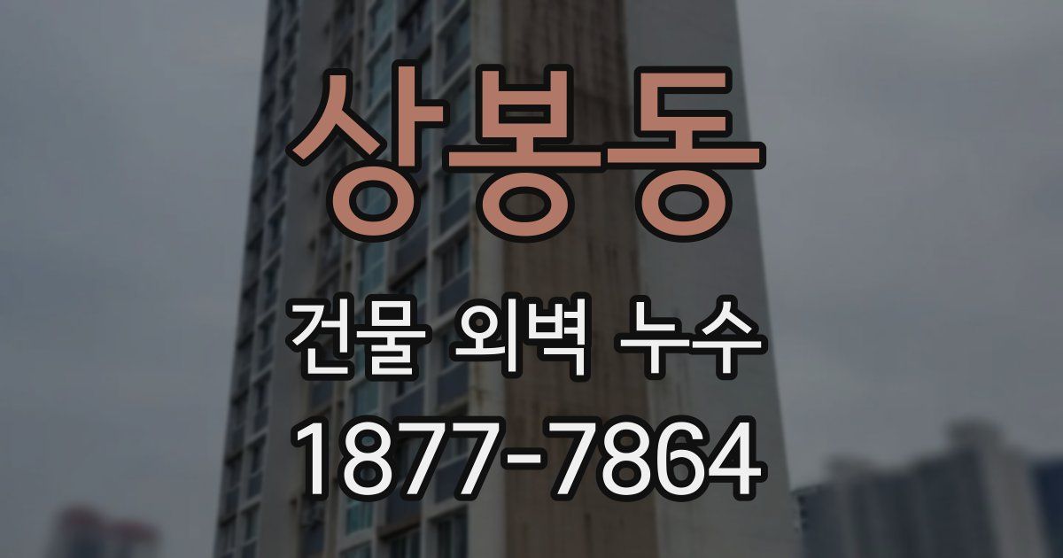 상봉동 건물 외벽 누수