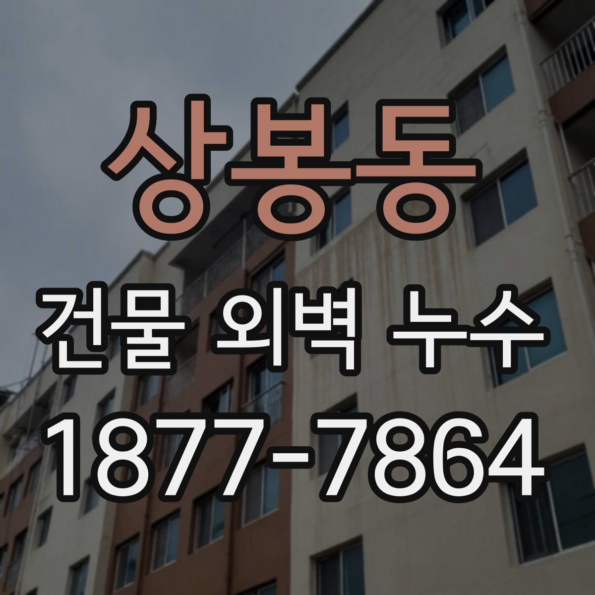 상봉동 건물 외벽 누수