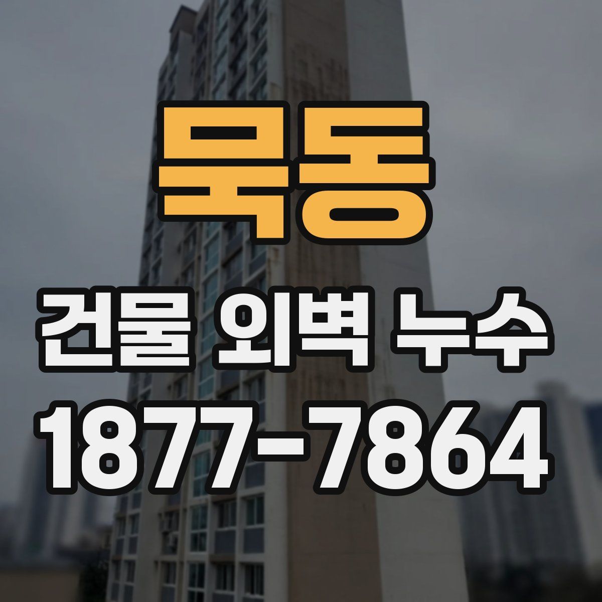 묵동 건물 외벽 누수