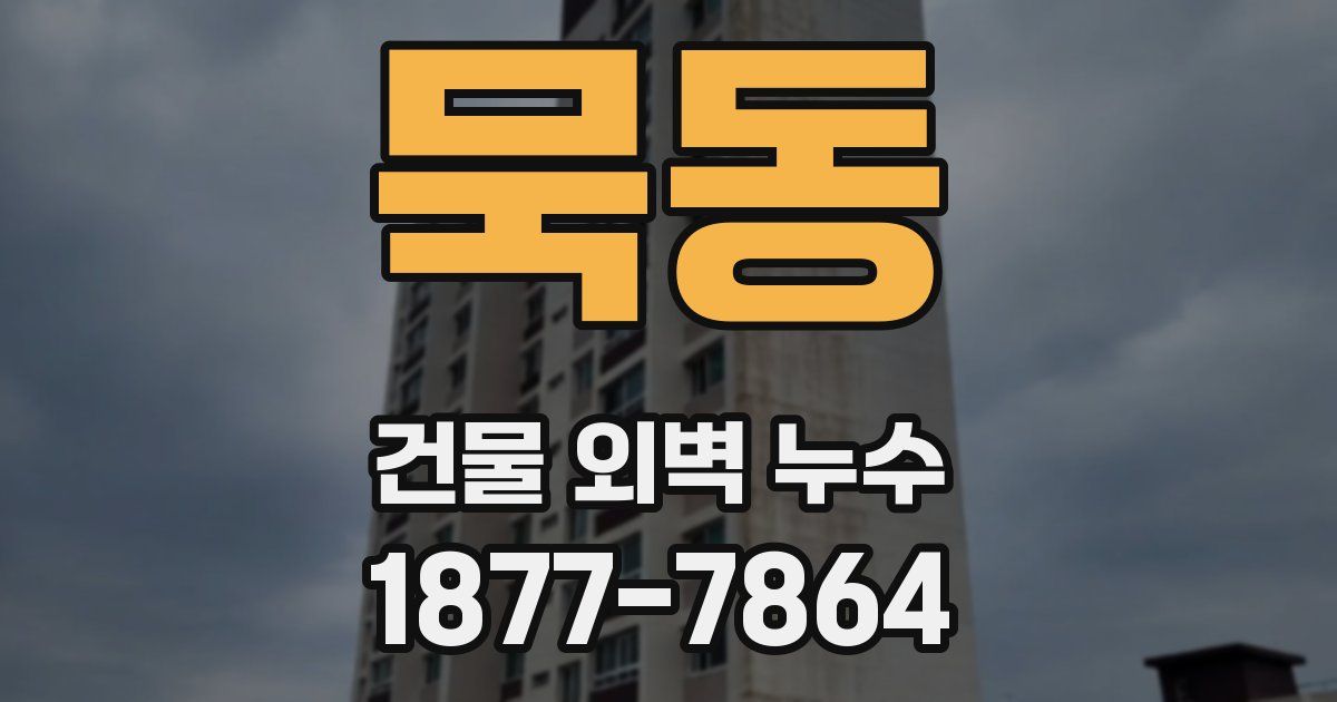 묵동 건물 외벽 누수