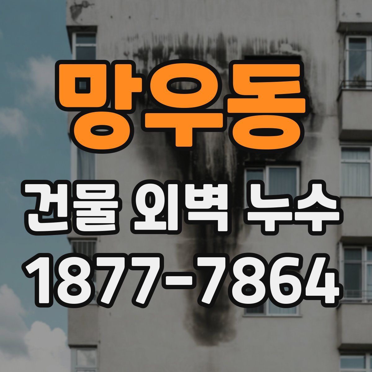 망우동 건물 외벽 누수