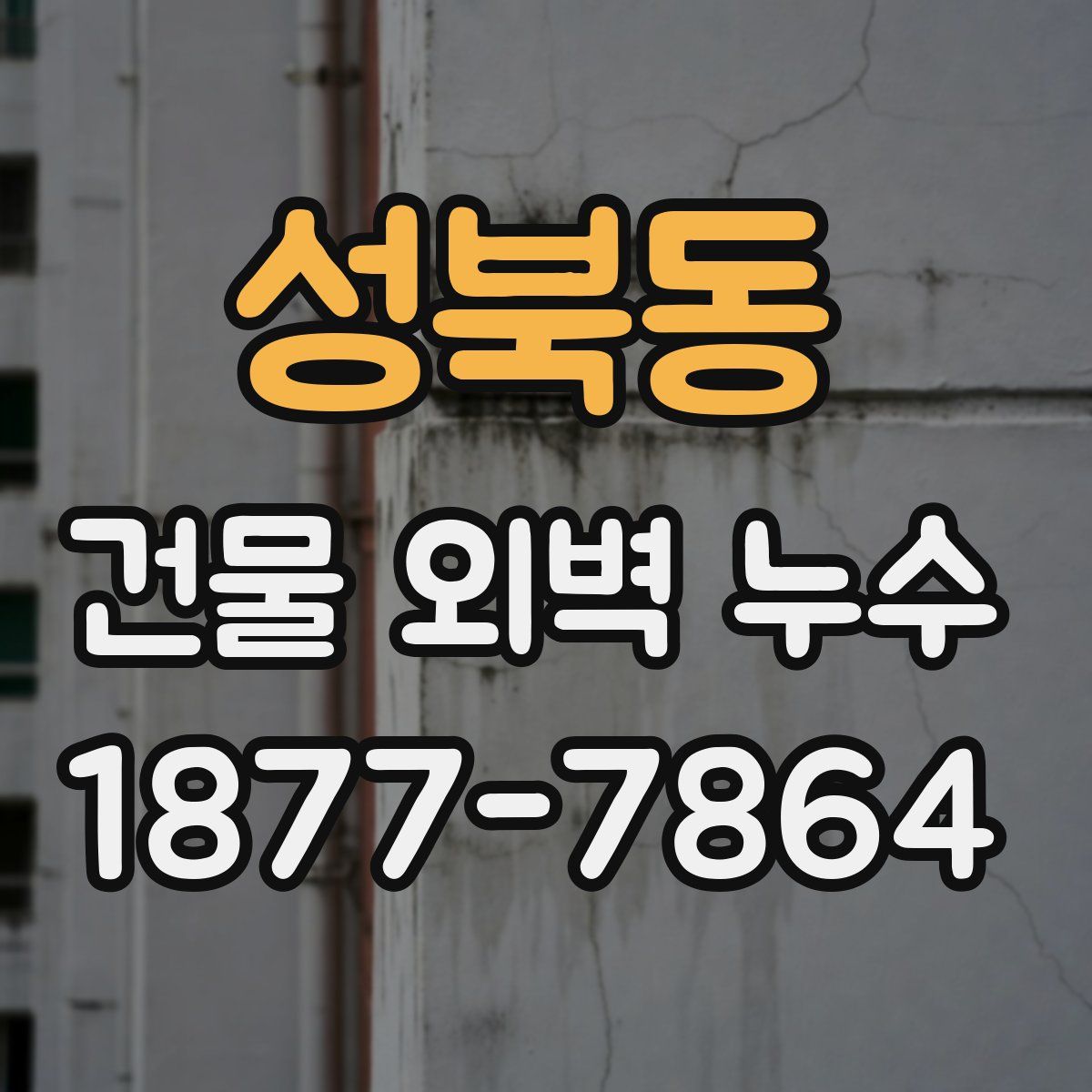 성북동 건물 외벽 누수