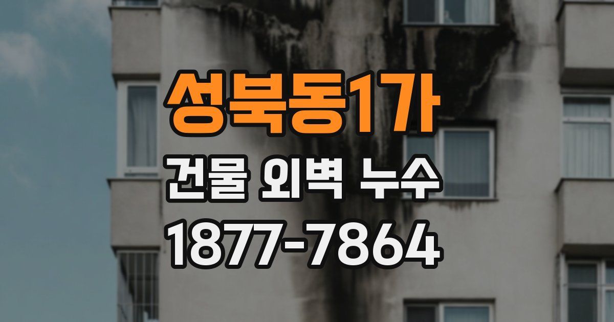 성북동1가 건물 외벽 누수