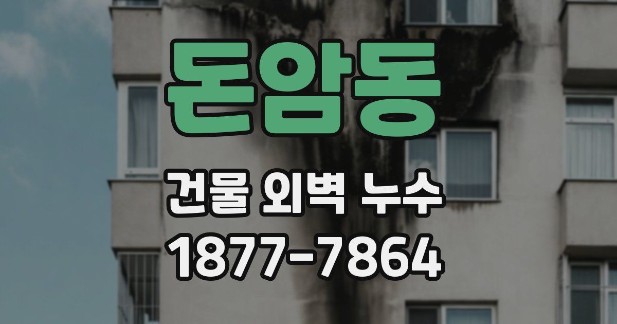 돈암동 건물 외벽 누수