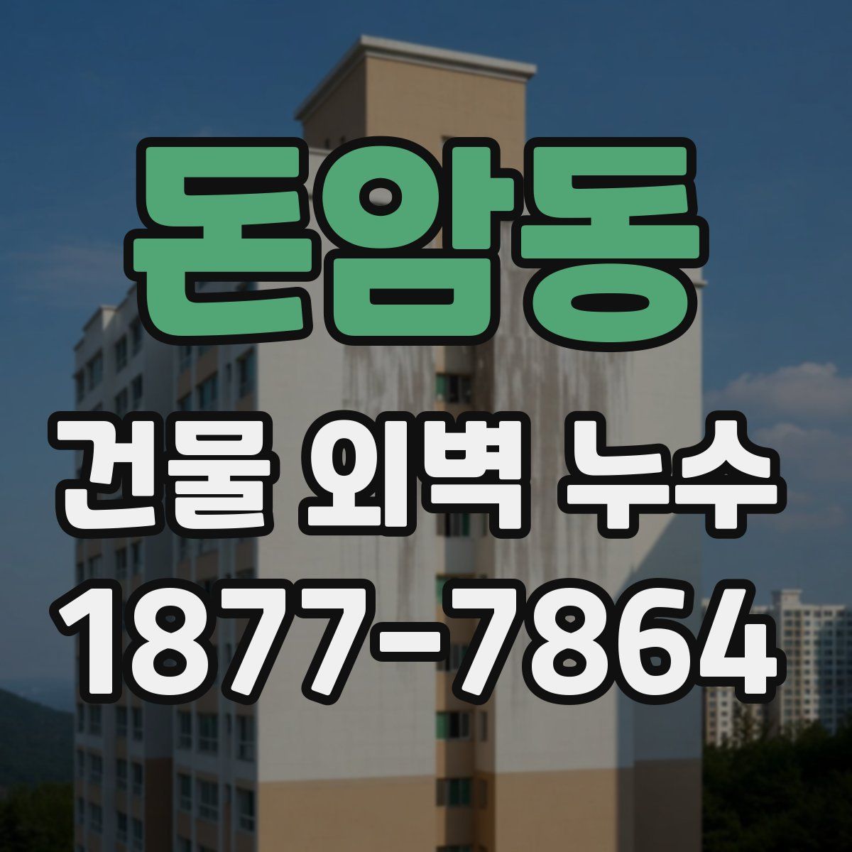 돈암동 건물 외벽 누수