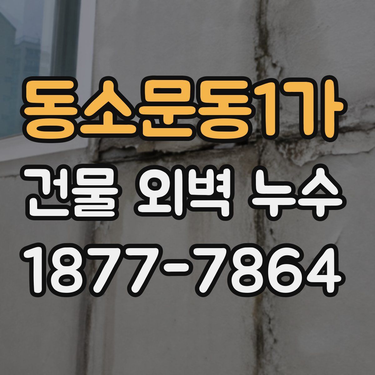 동소문동1가 건물 외벽 누수