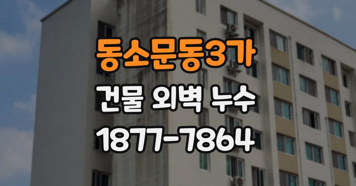 동소문동3가 건물 외벽 누수