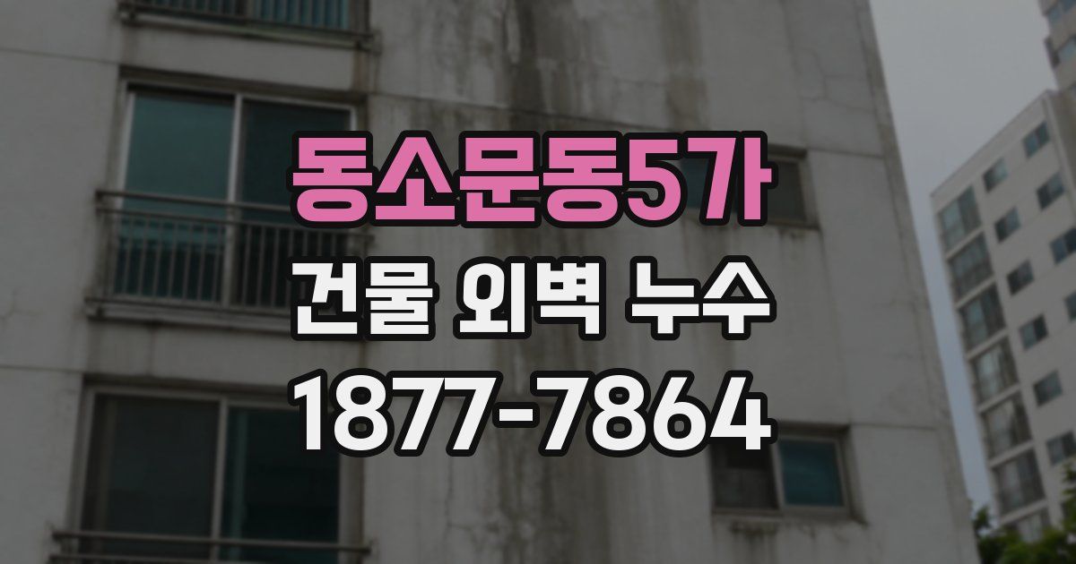 동소문동5가 건물 외벽 누수