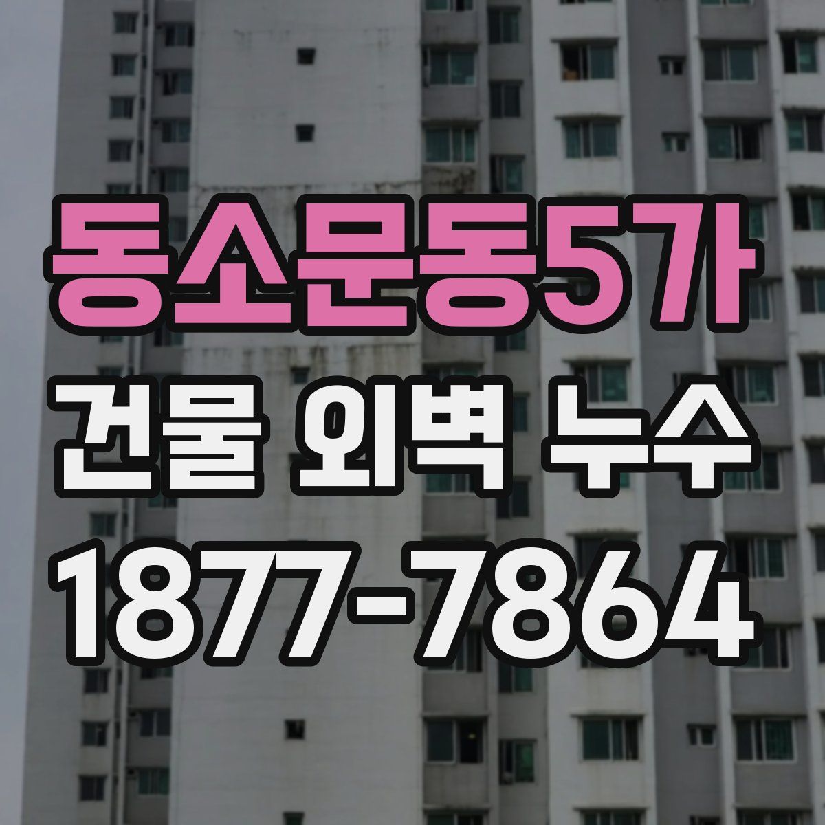 동소문동5가 건물 외벽 누수