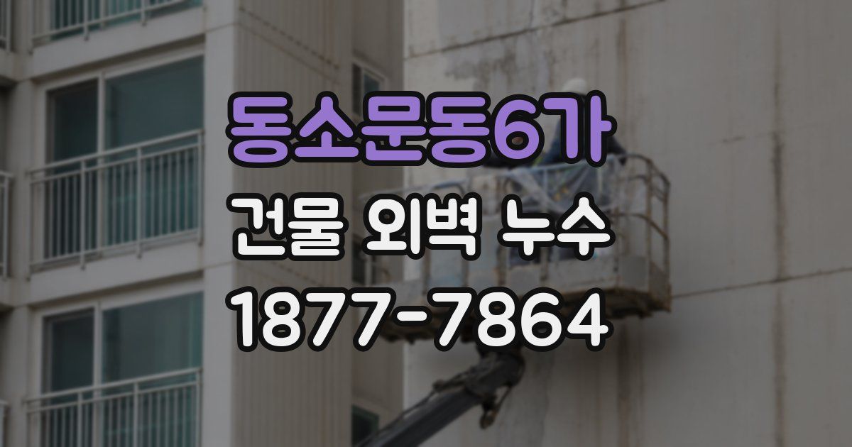 동소문동6가 건물 외벽 누수