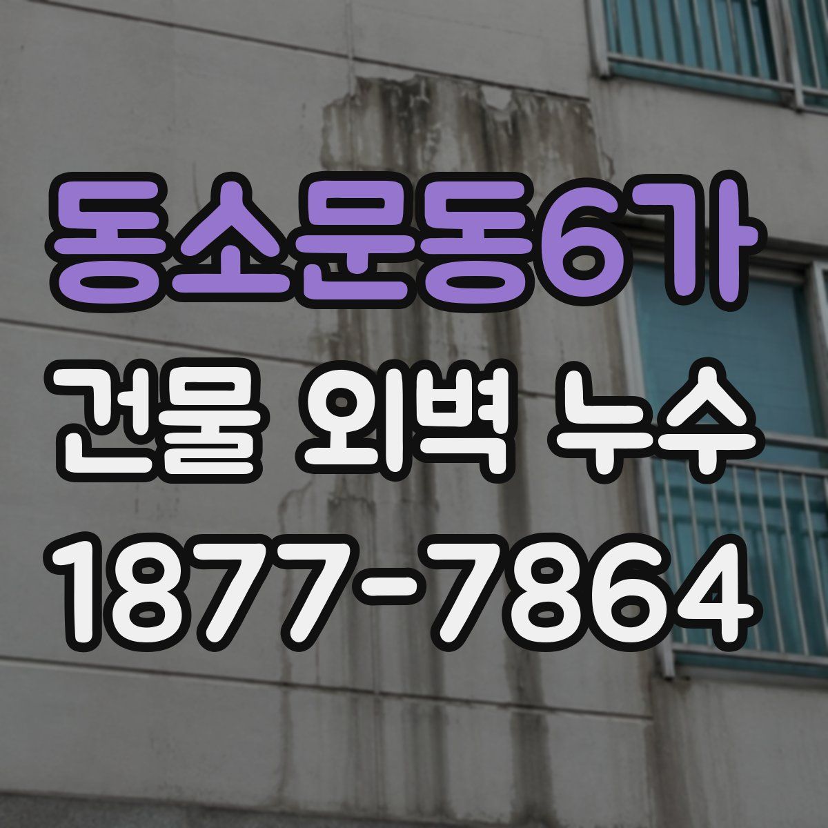 동소문동6가 건물 외벽 누수