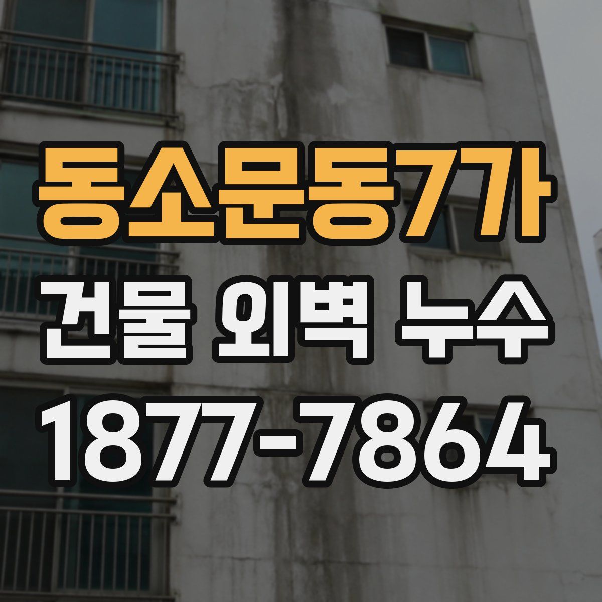 동소문동7가 건물 외벽 누수