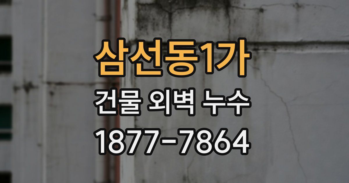 삼선동1가 건물 외벽 누수