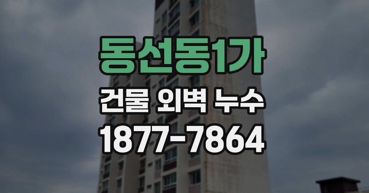 동선동1가 건물 외벽 누수