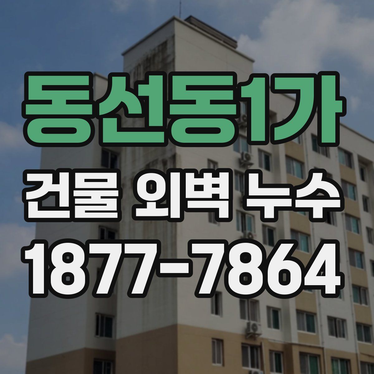 동선동1가 건물 외벽 누수