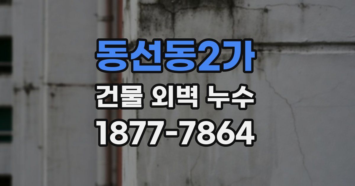 동선동2가 건물 외벽 누수