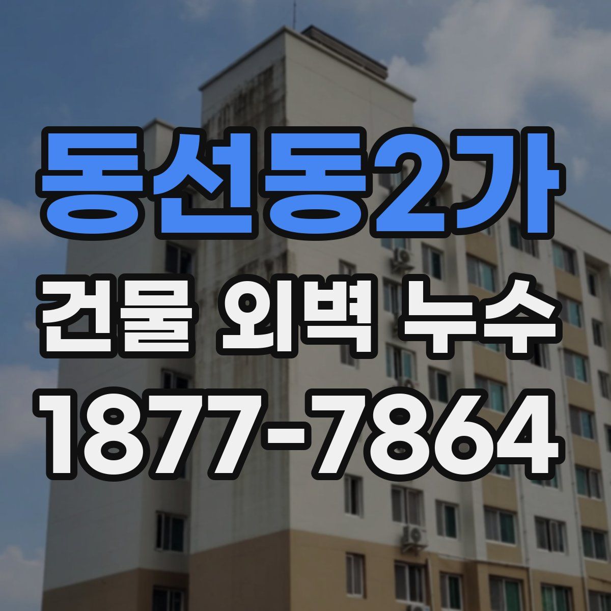 동선동2가 건물 외벽 누수