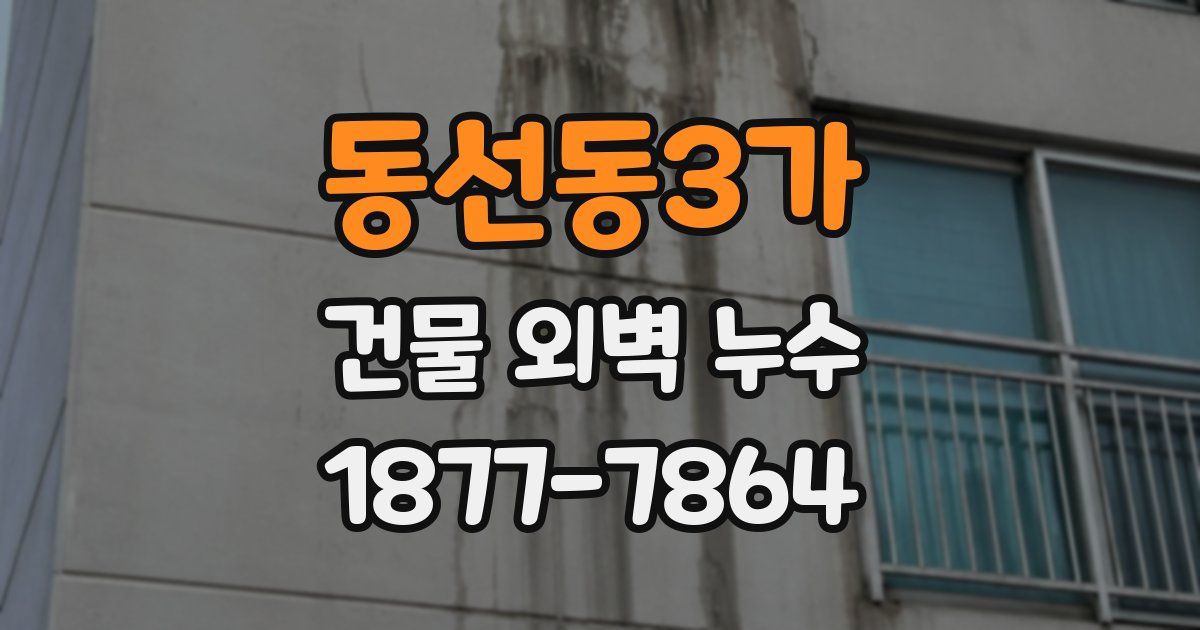 동선동3가 건물 외벽 누수
