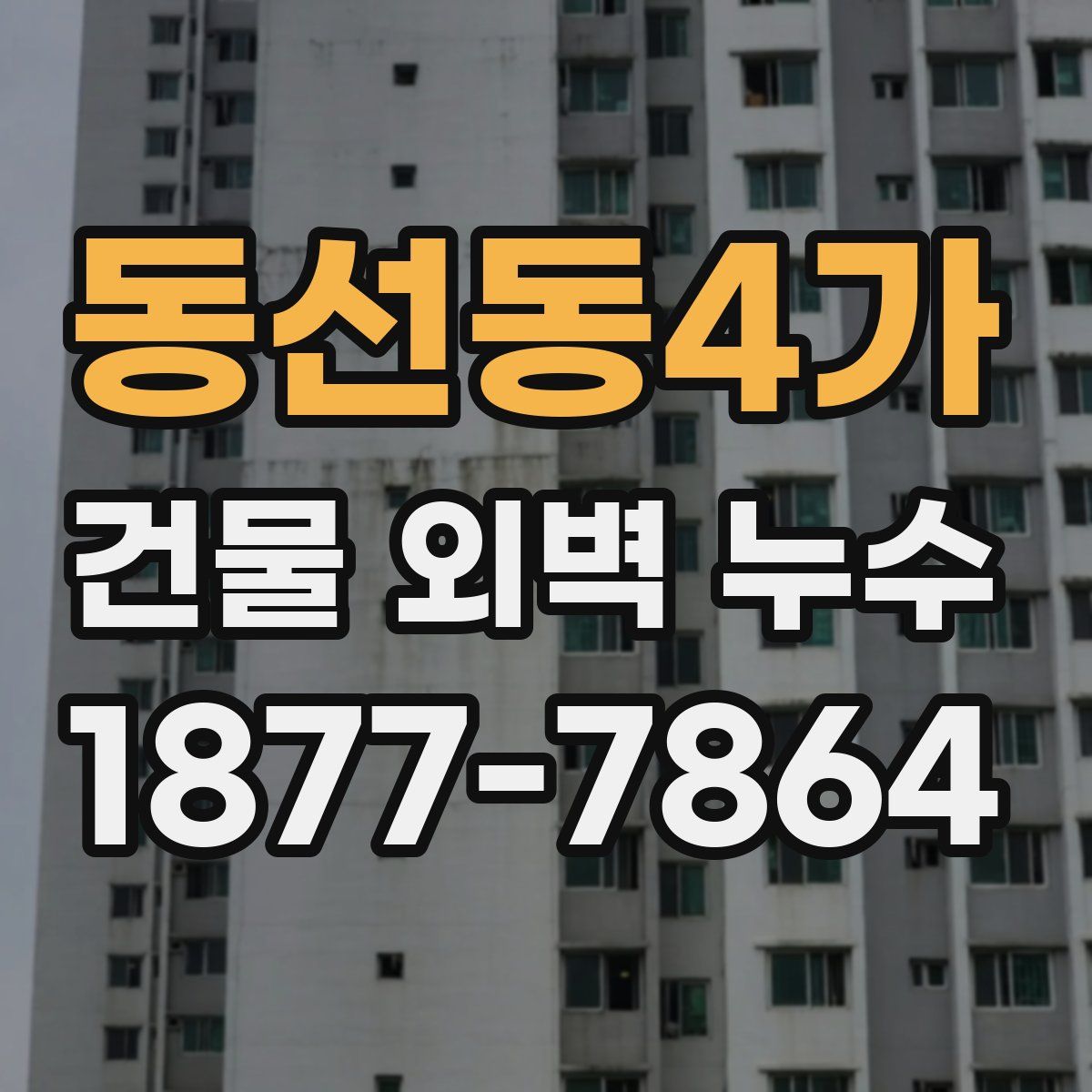 동선동4가 건물 외벽 누수
